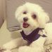 Profile Picture of Teri Schuster (@teri.schuster.5) on Facebook