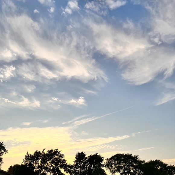 Profile Picture of David Bellinger (@davidbellinger) on Poshmark