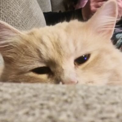 Profile Picture of Randy Holland (@bsballfc31) on Twitter