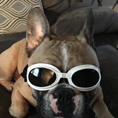 Profile Picture of Tim Colley (@DanceDadTim) on Twitter