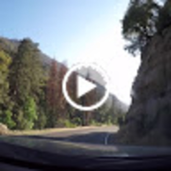 Profile Picture of Daniel Purnell (@danielkpurnell) on Poshmark