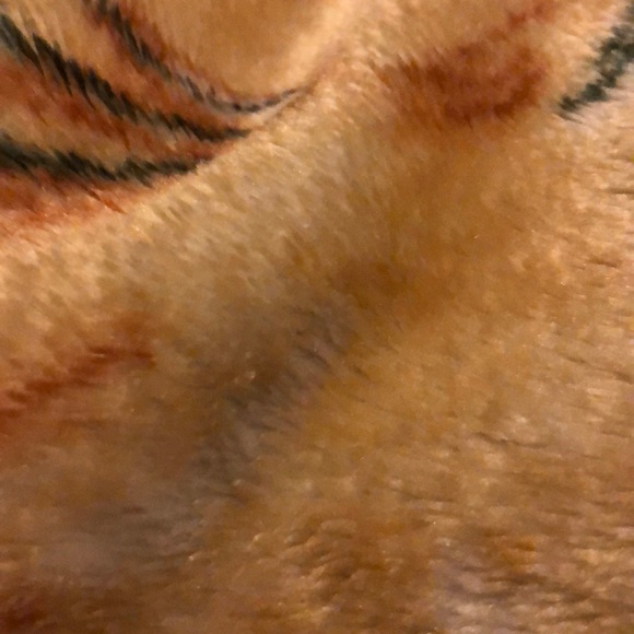 Profile Picture of L Hart (@lucindahart) on Poshmark