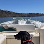 Profile Picture of Jeri Randall (@j.ann8119) on Instagram