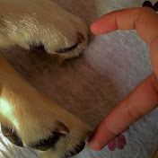 Profile Picture of Miriam Carpio (@miriamcarpio2211) on Youtube