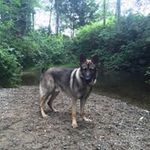 Profile Picture of Wayne D Latimer (@waynedlatimer) on Instagram