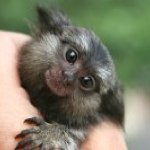 Profile Picture of Cindy Proctor (@cproctor7) on Instagram