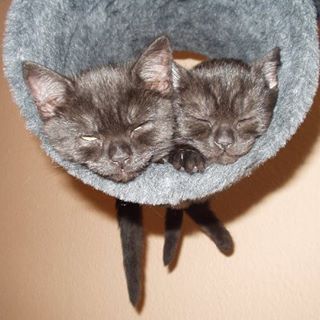 Profile Picture of Adeline Seefeldt Niemöller (@adeline.seefeldtniemoller) on Facebook