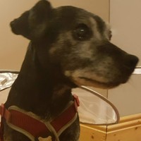 Profile Picture of Ian Pettigrew (@ian-pettigrew-3) on Quora