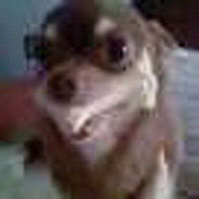 Profile Picture of Alex Catherine Says PROSECUTE TRUMP! (@alexcate) on Twitter
