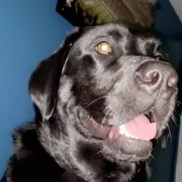 Profile Picture of John Hayden (@jhayden046) on Poshmark