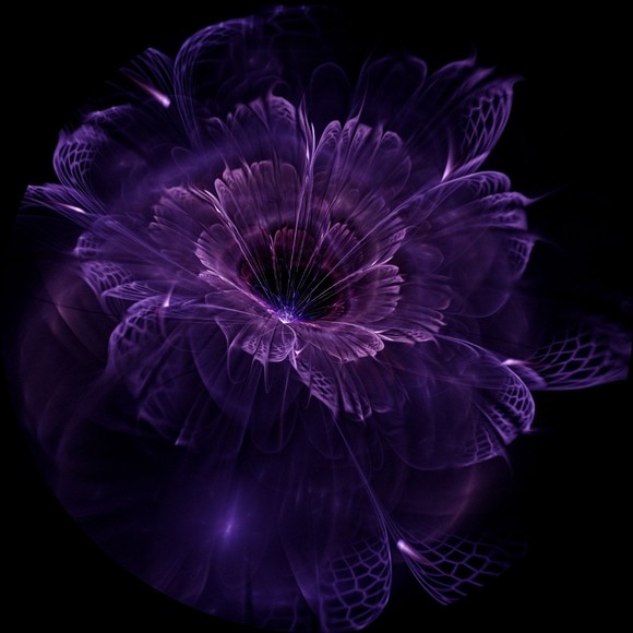 Profile Picture of Joyce Wright (@joycew1000) on Poshmark