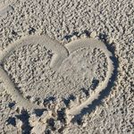 Profile Picture of Amber Brashears (@ambeeziebra) on Instagram