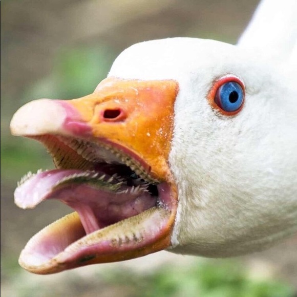 Hunter Hanberg - Poshmark Profile Picture of Hunter Hanberg (@hunterhanberg) on Poshmark