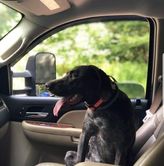 Profile Picture of Christopher Goss (@benelli1776) on Poshmark