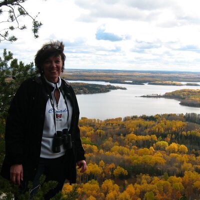 Profile Photo of Carole Lessard (@carole2you) on Twitter