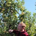 Profile Picture of Ian (@ian_decker65) on Instagram