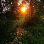 Profile Picture of John Richardson (@johnrichardson008) on Instagram