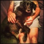 Profile Picture of Paul Crooks (@bozbadstring) on Instagram