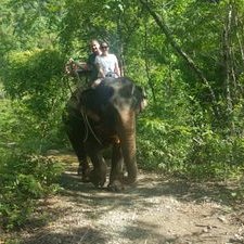 Profile Picture of James Lavis (@jlavis12) on Twitter