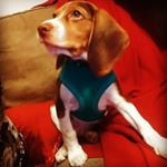 Profile Picture of Rex Davis (@rexdavis090819) on Instagram