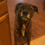 Debbie Paterno - Facebook Profile Picture of Debbie Paterno (@debbie.paterno.7) on Facebook