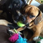 Profile Picture of Jo-Anne Walker (@walkerjoanne219) on Instagram