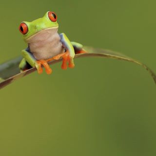 Profile Picture of Nicholas Eckler (@nicholas.eckler.1) on Facebook