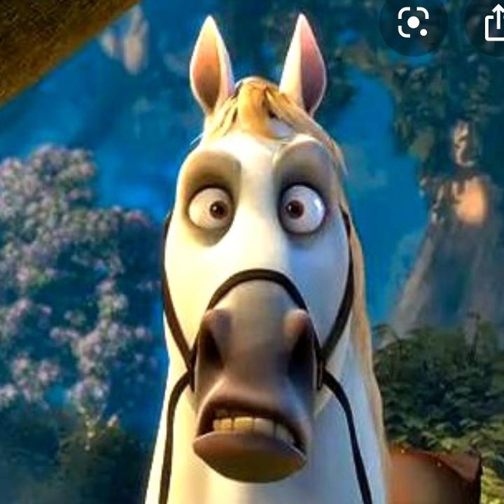 Profile Picture of nicholas.hasselbach (@nicholas.hasselba) on Tiktok