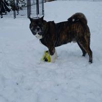 Profile Picture of Laurie Daniel (@laurie-daniel-4) on Quora