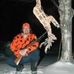 Profile Picture of Darin Holmes (@darin.holmes.73) on Facebook