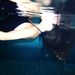 Profile Picture of Robin de Boer (@deboer0260) on Pinterest