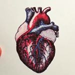 Profile Picture of Jules (@jules.francois) on Instagram