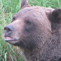 Profile Picture of Bob Mccarty (@bob-mccarty-4) on Quora