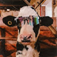 Profile Picture of Cheyenne Silver (@cheyenne-silver-3) on Quora