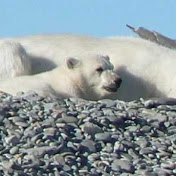 Profile Picture of David Oates (@wandereruk44) on Youtube