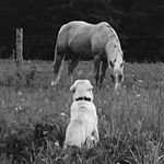 Profile Picture of Shamus Ryan (@ryan.shamus) on Instagram