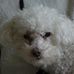 Profile Picture of Dexter Nevin (@dexter.nevin) on Facebook
