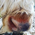 Profile Picture of Alex Bonnet (@alejandro_bonnet) on Instagram