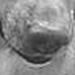 Profile Picture of Lucas Ivan Fernandez (@dale cordoba) on Flickr