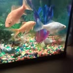 Profile Picture of David Kaulback (@david.kaulback.12) on Facebook