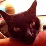 Profile Picture of Mark Coakley (@mark.coakley.7) on Facebook