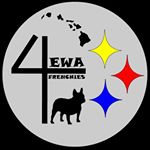 Profile Picture of Chad Morales (@4ewa_frenchies) on Instagram