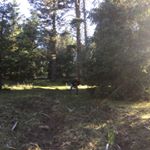 Profile Picture of Danielle Benavidez (@danielle._.benavidez_spam) on Instagram