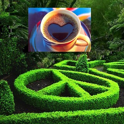 Profile Picture of Tim New (@timdnew) on Twitter