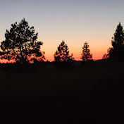 Profile Picture of Jason Whitbeck (@jasonwhitbeck420) on Youtube