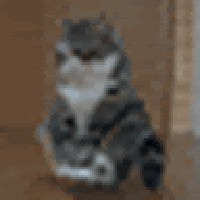 Profile Picture of Marcus Corona (@marcus-corona-3) on Quora