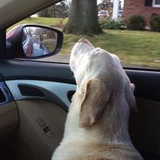 Profile Picture of Miriam Frederick (@country_loves23) on Twitter