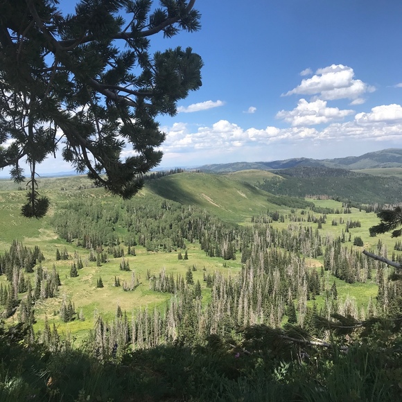 Profile Picture of Deborah Plummer (@deborah_plummer) on Poshmark