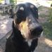 Profile Picture of David Treise (Tuty ) (@david.treise.7) on Facebook