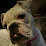 Profile Picture of John Carbone (@PaintballPropaganda) on Youtube